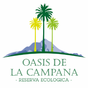 logo oasis